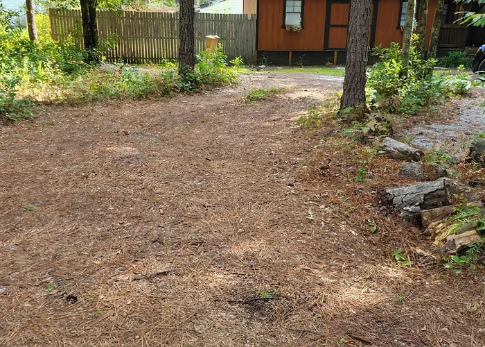 Fern Gully Cabin