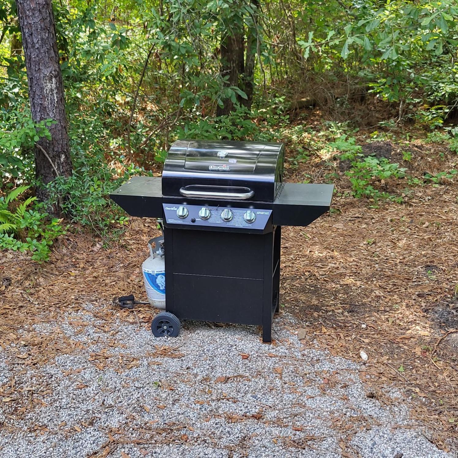Fern Gully Campsite