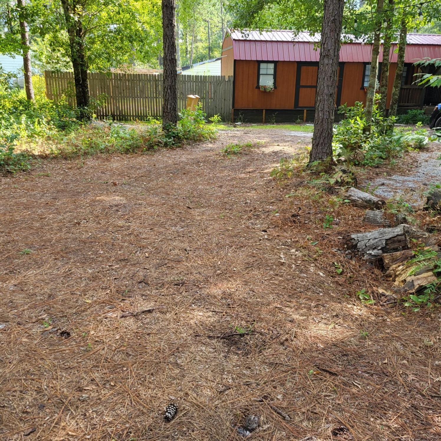 Fern Gully Campsite *
